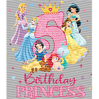 Princess-PR 489